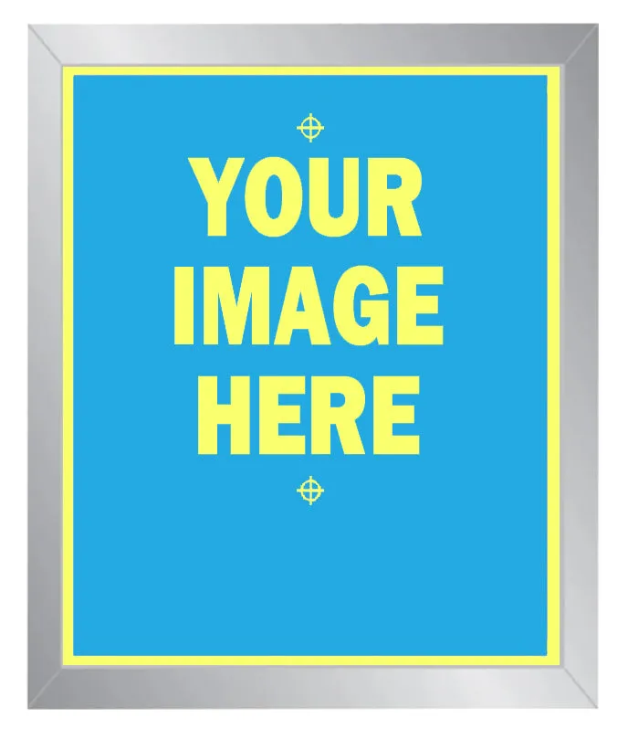 20 x 24 Pre-Burned 200 Mesh Screen