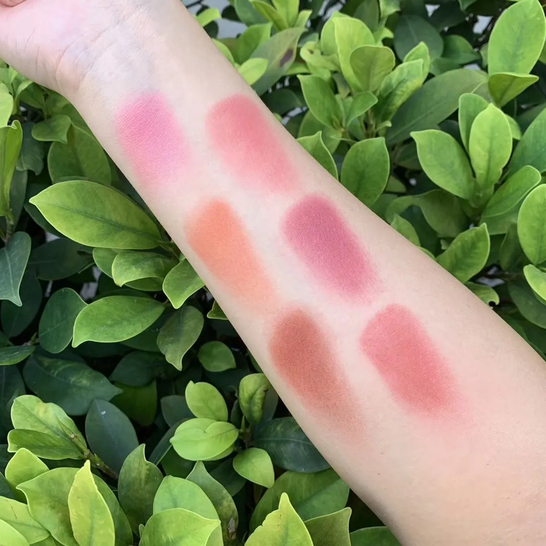 6 Color Water Proof Blush for Cheeks Face 