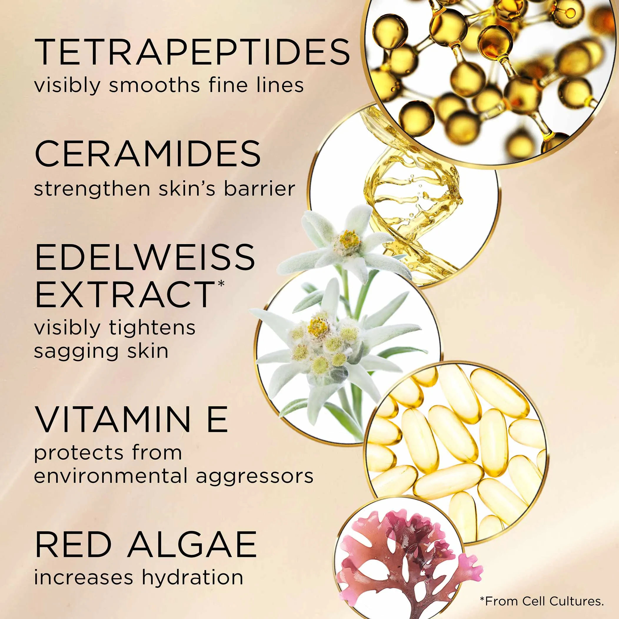 Advanced Ceramide Lift and Firm Day Cream