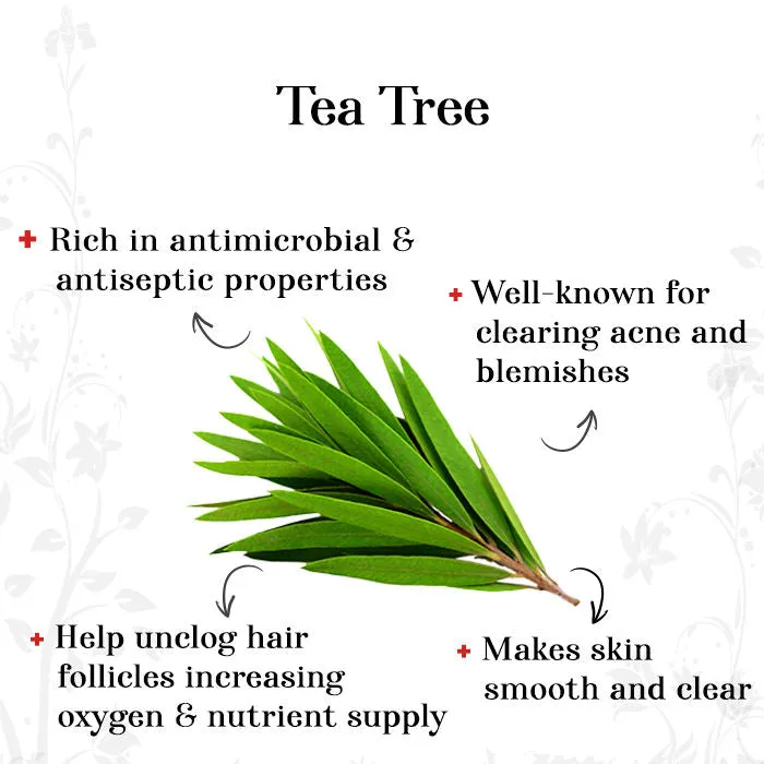 Alps Goodness Pure Essential Oil - Tea Tree (10 ml)
