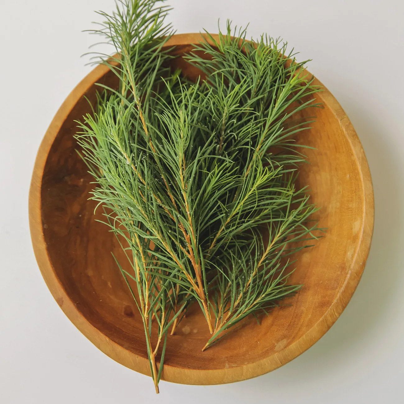 AROMATICA Tea Tree Balancing Emulsion 100ml