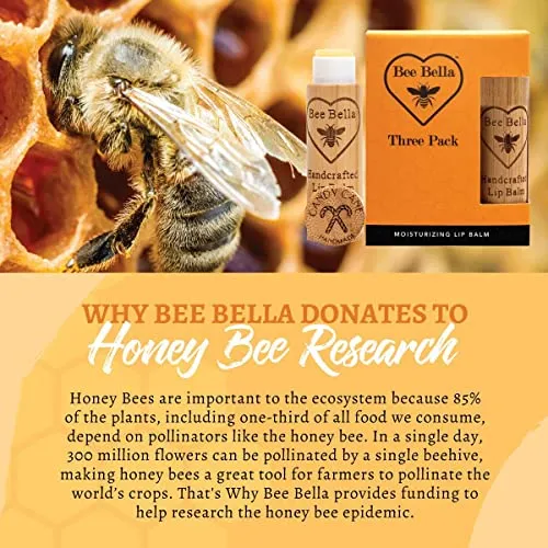 Bee Bella Lip Balm Variety Pack Gift Set, Cherry, Pomegranate Mango, Vanilla Bean, Peppermint, & Lavender Vanilla, 5 Pack - Hydrating, Moisturizing, Natural, Organic Beeswax, Vitamin E, Made in USA