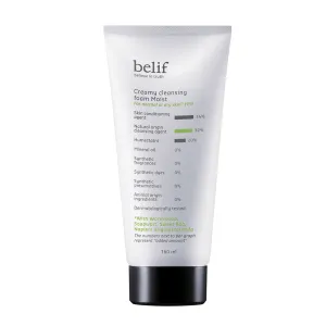 belif Creamy Cleansing Foam Moist
