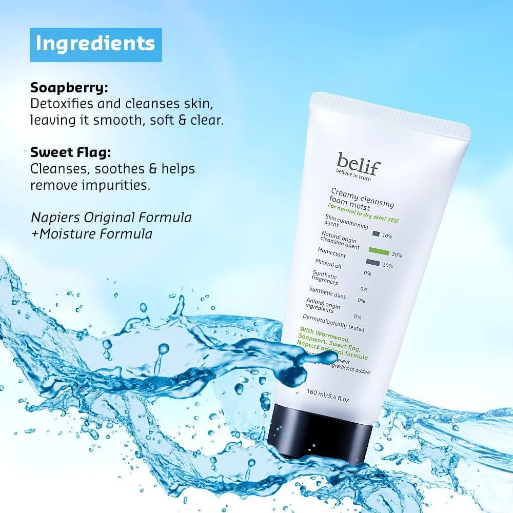 belif Creamy Cleansing Foam Moist