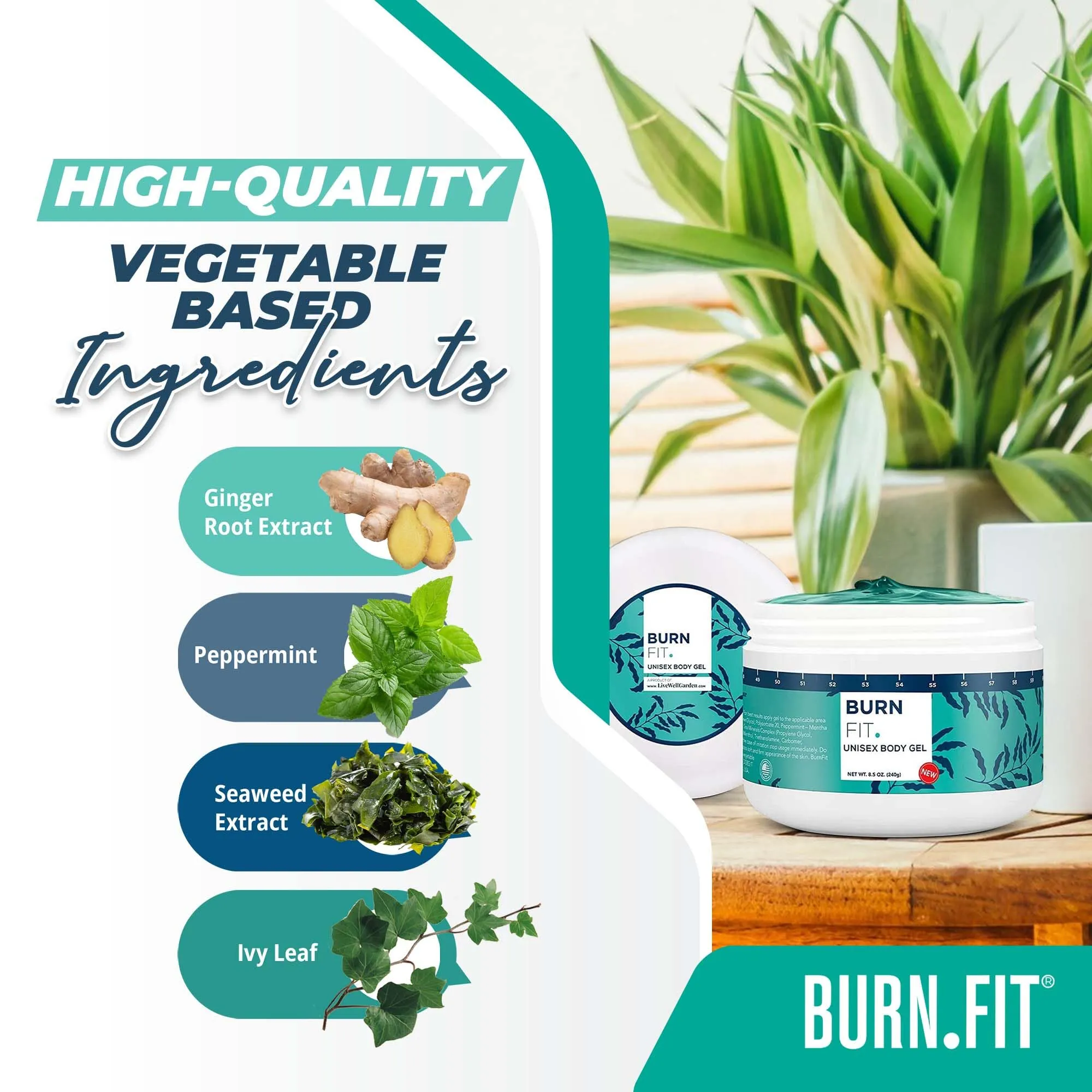Body Gel – Anti Cellulite Cream by Burn Fit for Belly & Body, Belly Firming and Tightening Cream, Non-Sticky Cold & Hot Cream for Cellulite, Skin Firming Body Lotion for Smoother Skin - 8.5 Oz.