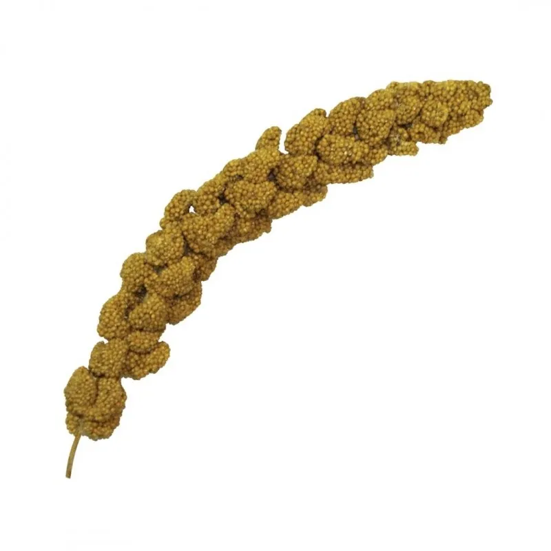Brown's Tropical Carnival Natural Foxtail Millet Jumbo Spray Bird Treats