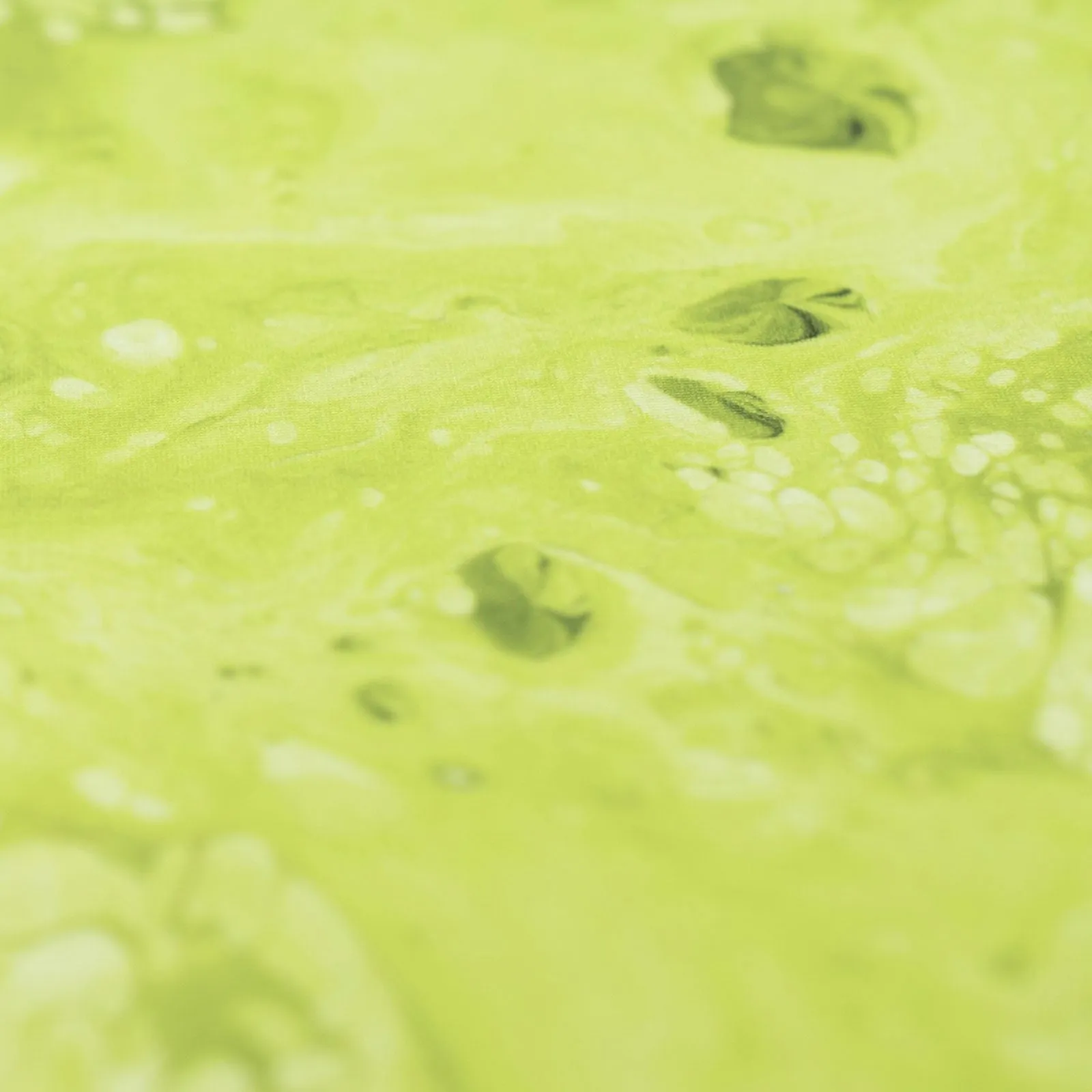 Emulsion resin - Petit - Green