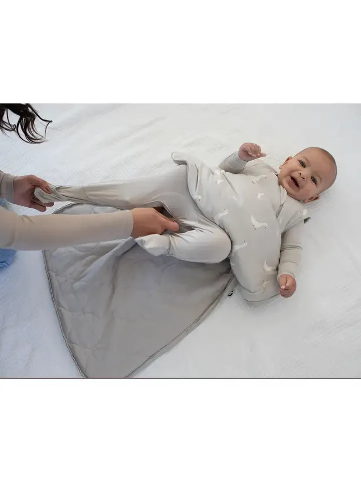 Goose Sleep Bag 2.5 Tog