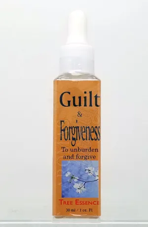 Guilt and Forgiveness Essence