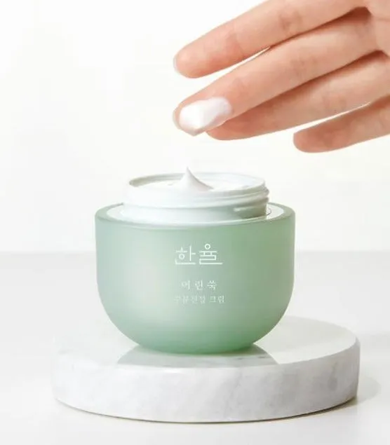 HANYUL Pure Artemisia Calming Water Cream 50ml