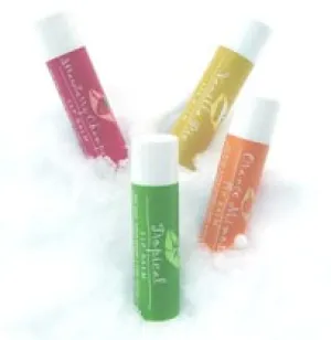 Lip Balm Sampler Pack of 4