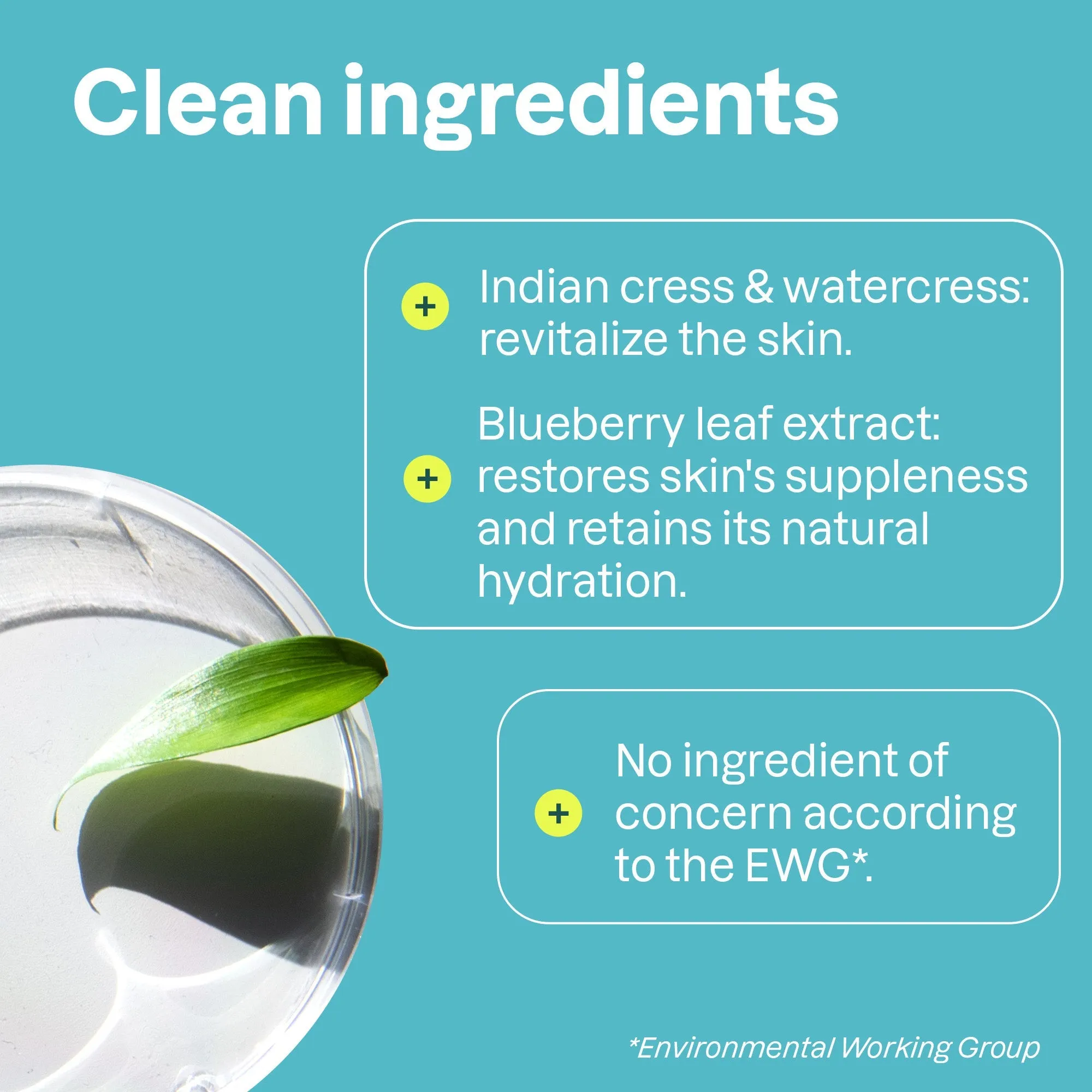 Micellar foaming cleanser : SUPER LEAVES™