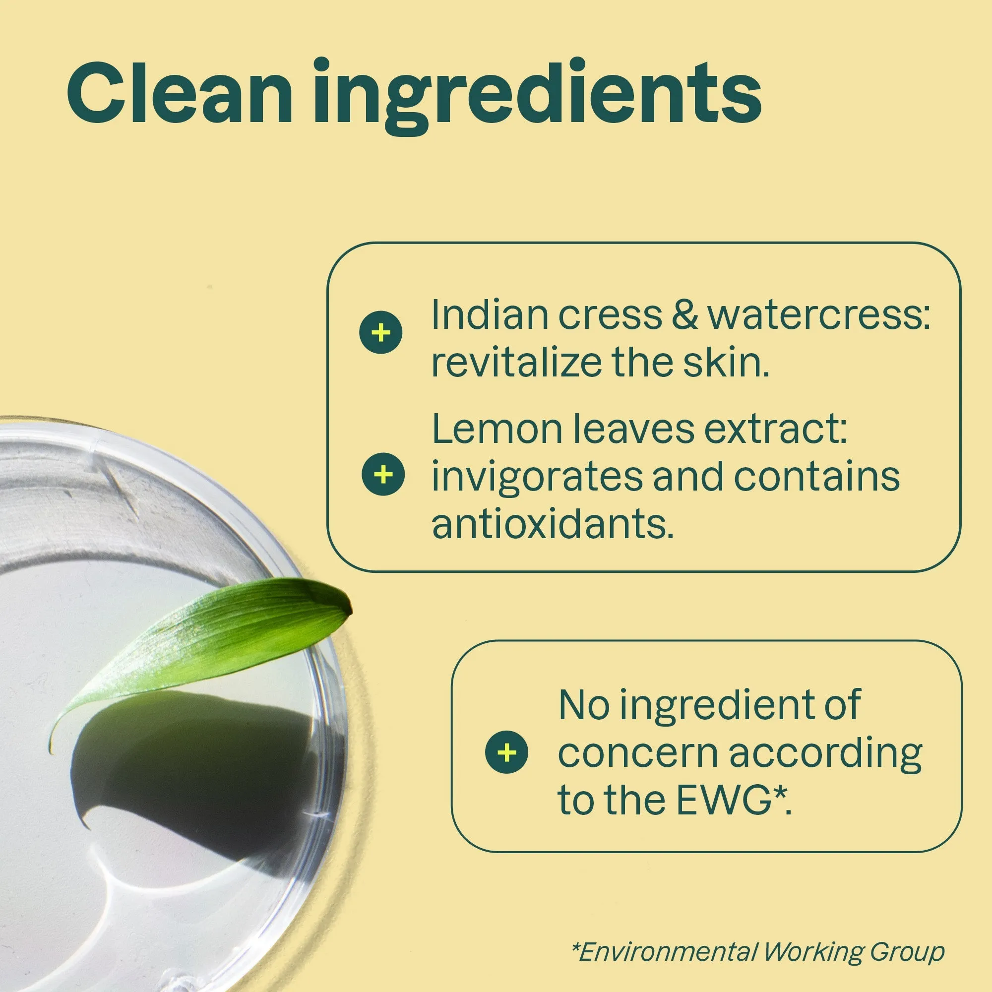 Micellar foaming cleanser : SUPER LEAVES™