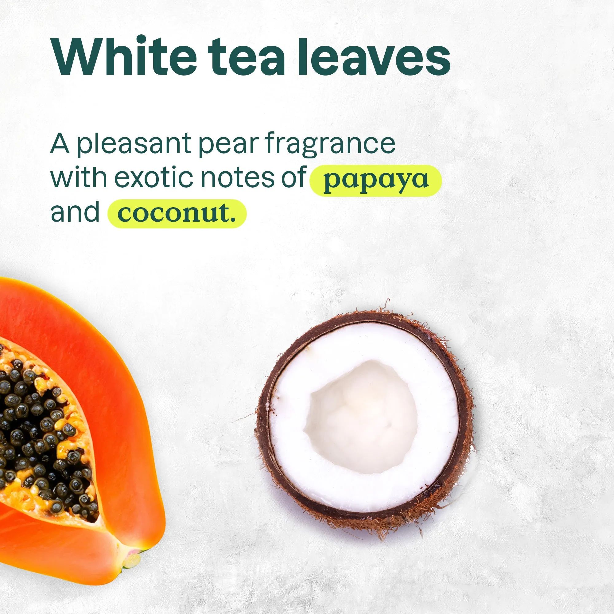 Micellar foaming cleanser : SUPER LEAVES™