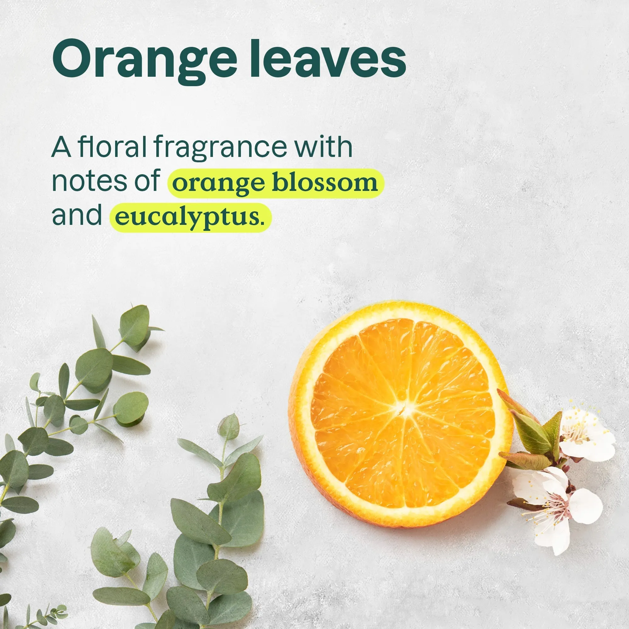 Micellar foaming cleanser : SUPER LEAVES™