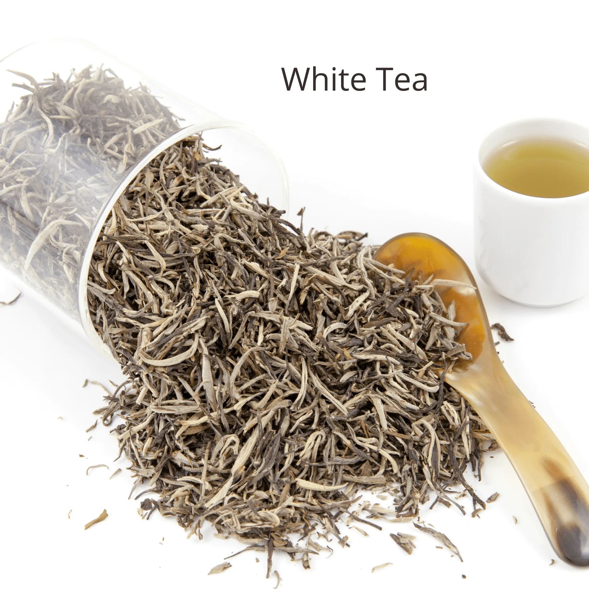 Pomegranate   White Tea Toner