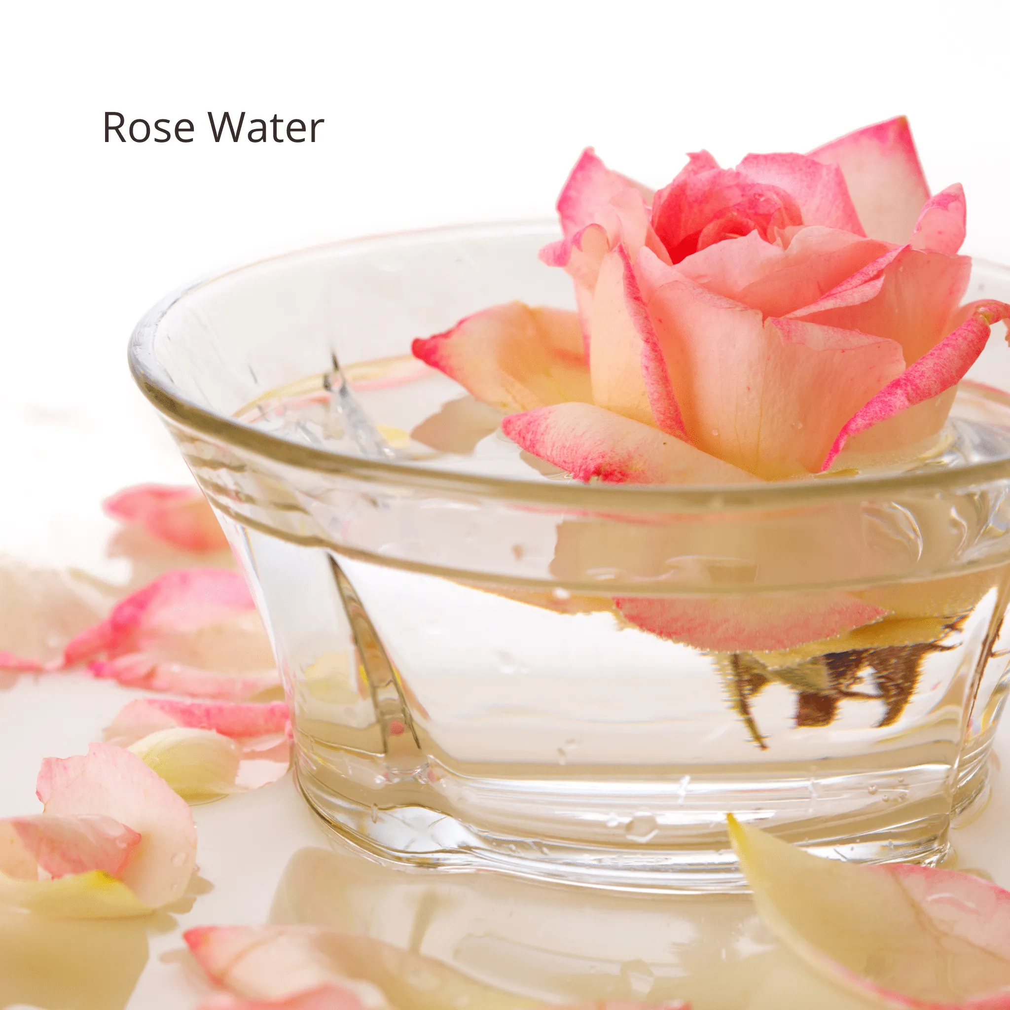 Pomegranate   White Tea Toner