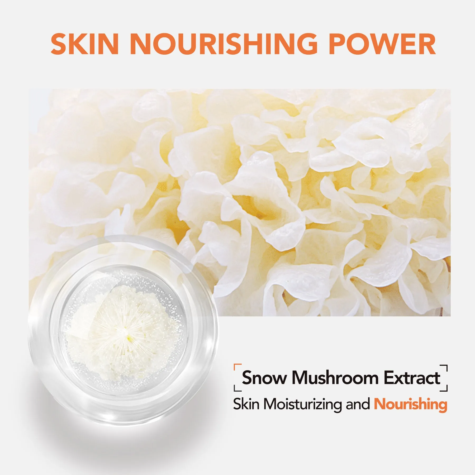 Radiance Up! Deep Moisturizing Cream