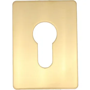 Repair Escutcheon Key Hole Cover Plate Euro Profile Self Adhesive Fix - Polished Brass - 65 x 47mm