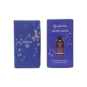 Secret Santa Face & Eye Foam