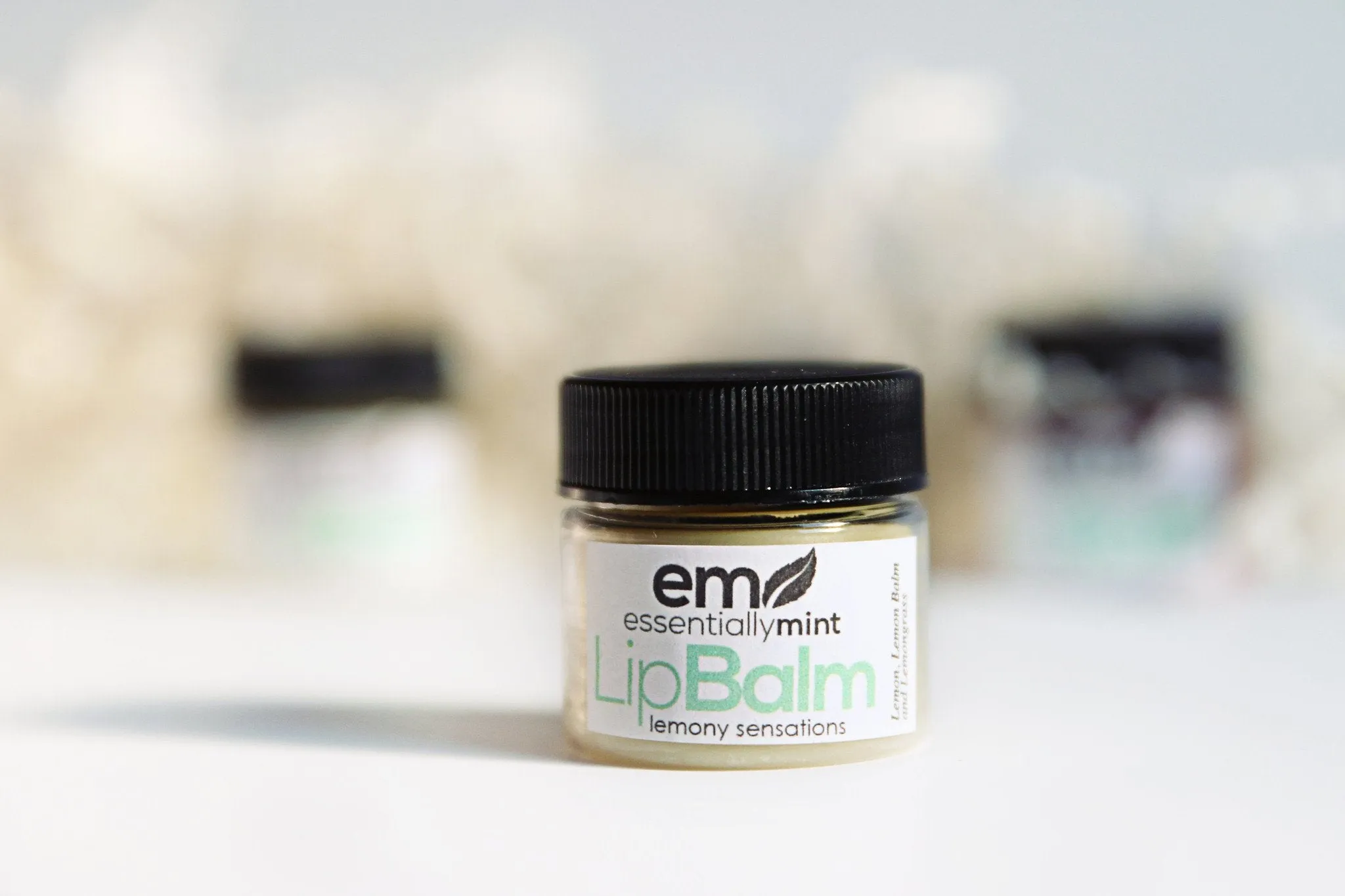 Shea Butter Lip Balm (Set of 4)