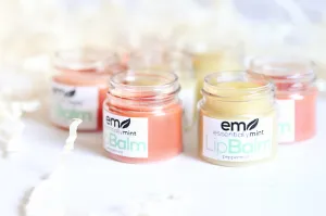 Shea Butter Lip Balm (Set of 4)