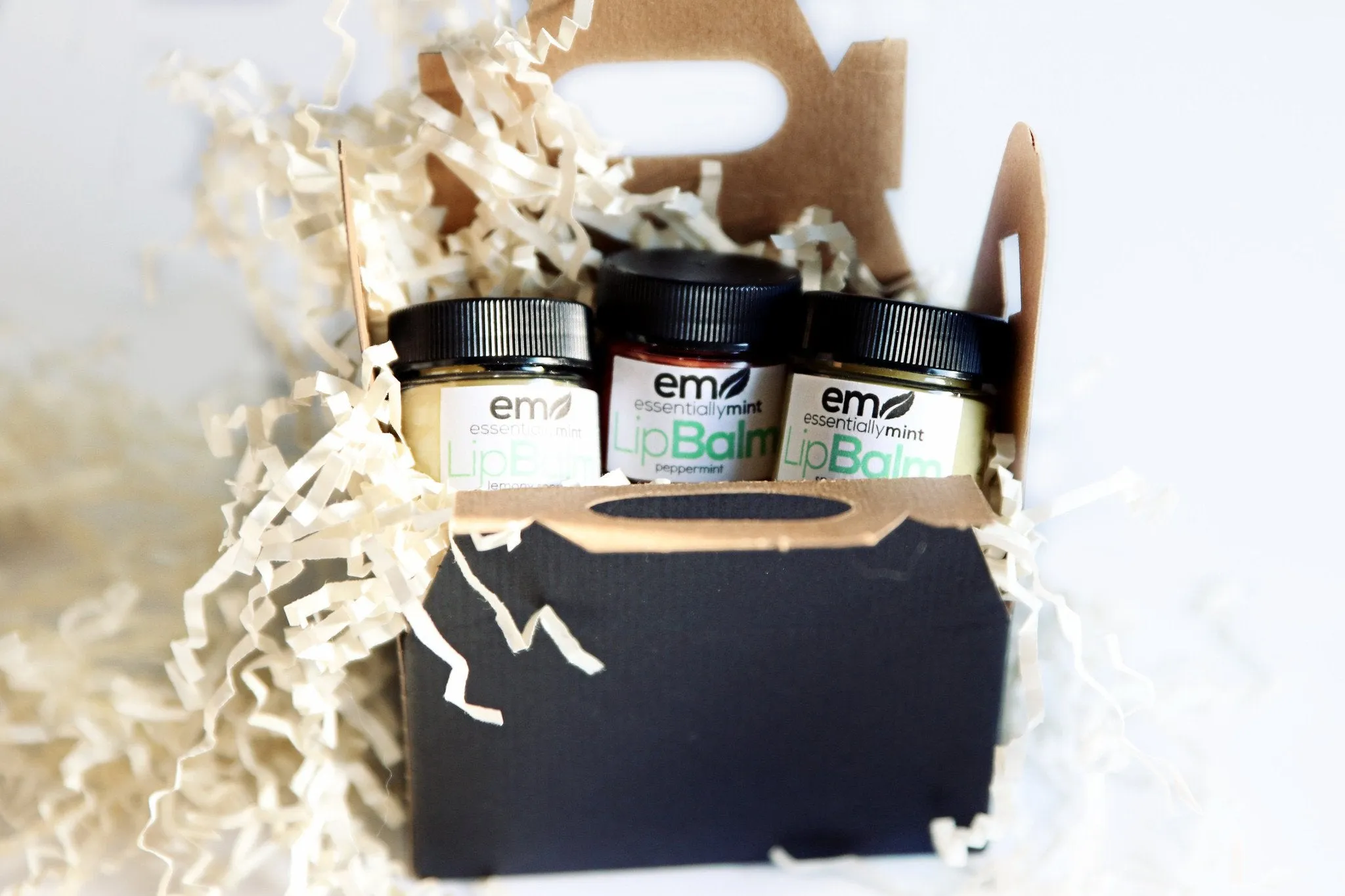 Shea Butter Lip Balm (Set of 4)