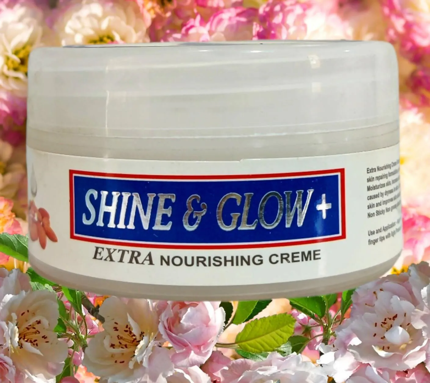 Shine & Glow Extra Moisturising Cream 70gm