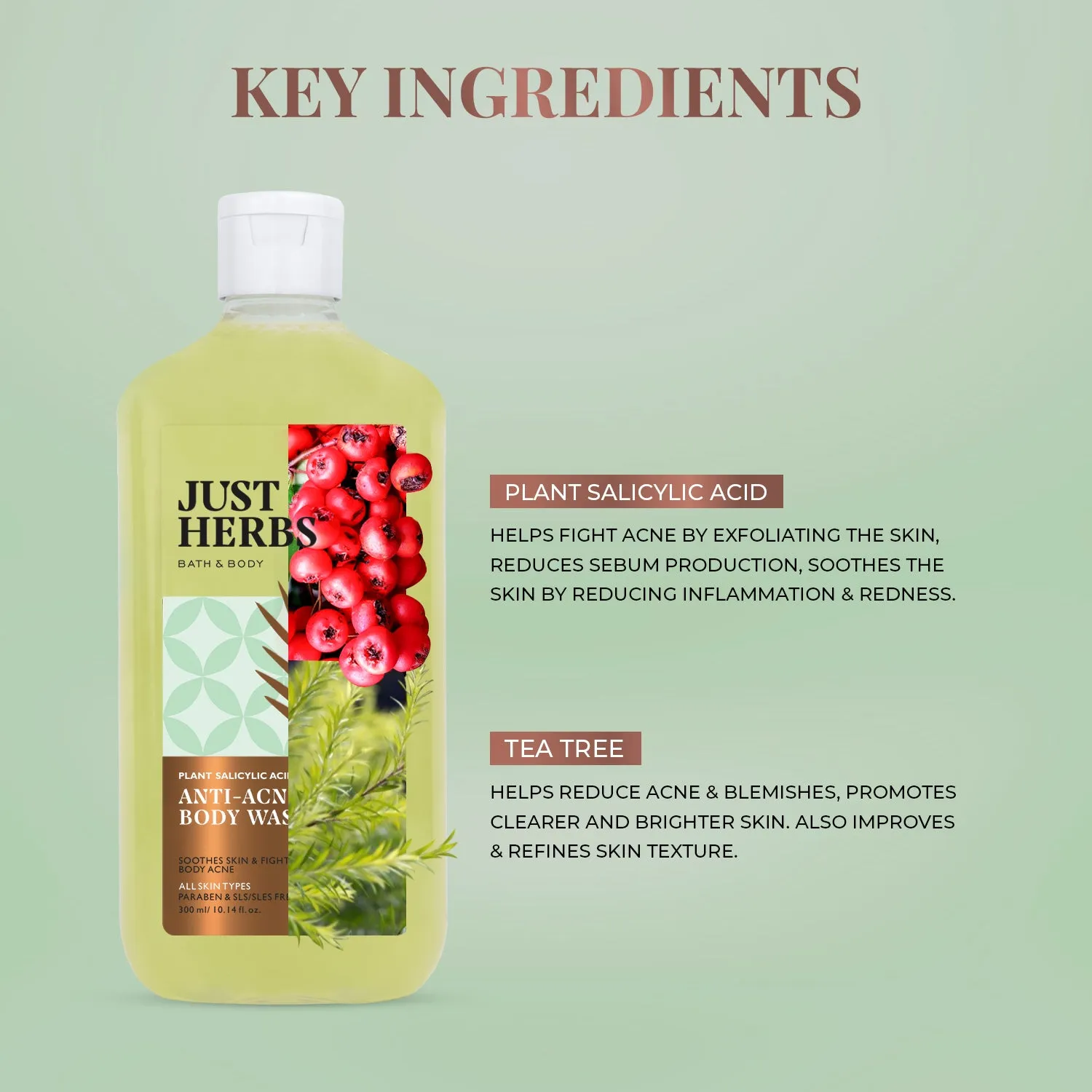 Tea Tree Anti-acne Body Wash with Plant Salicylic Acid